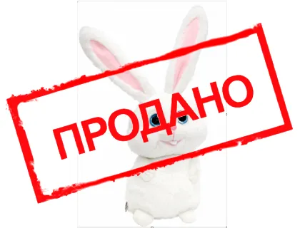 Заяц 